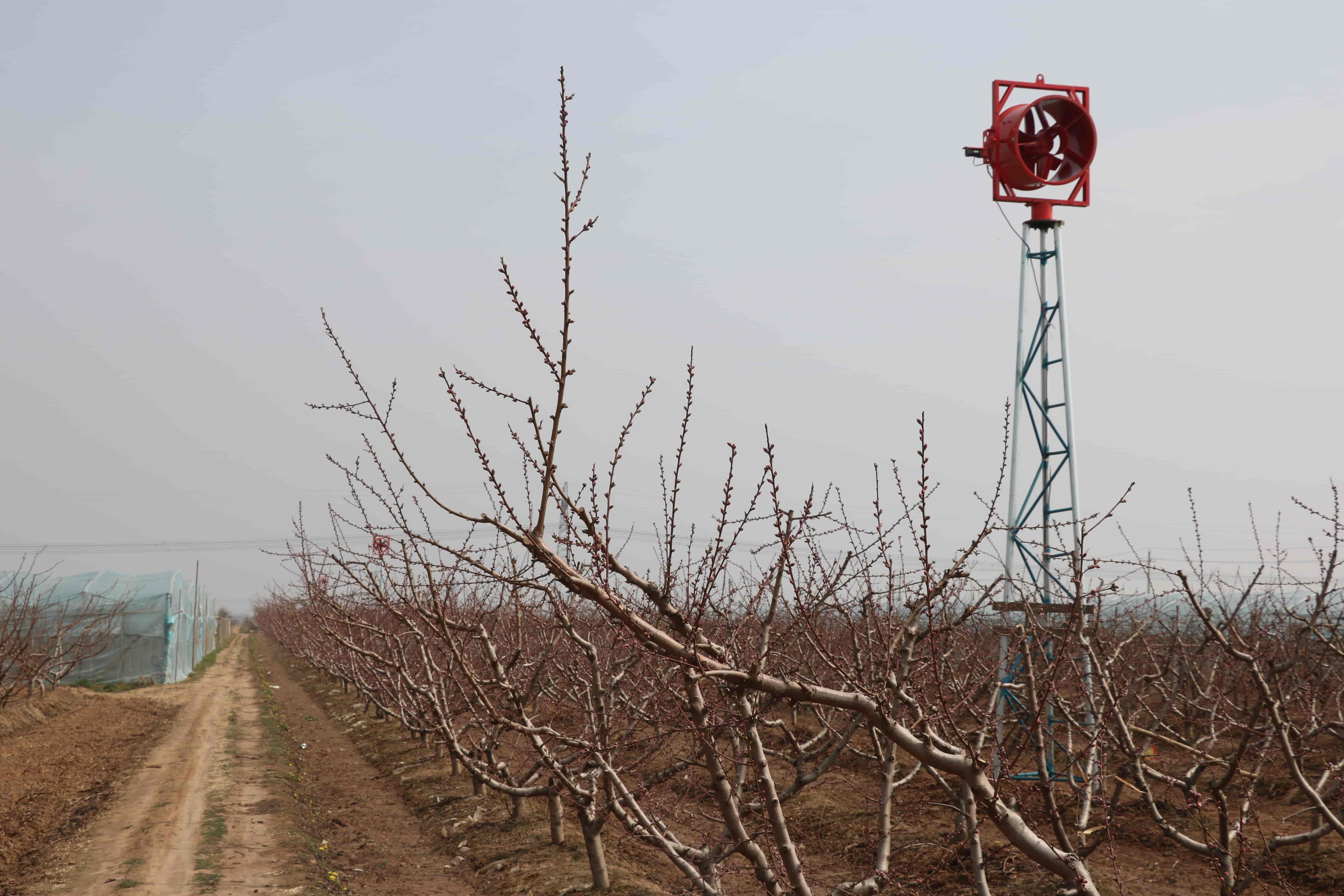 防霜凍風機 果園風機